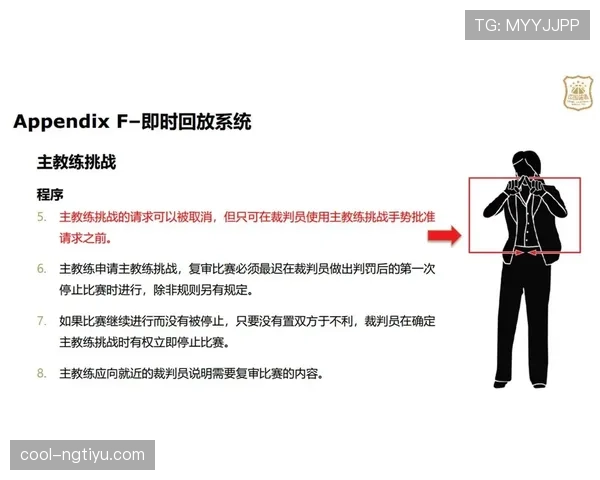 篮球技术犯规的判罚依据与处罚方式解析