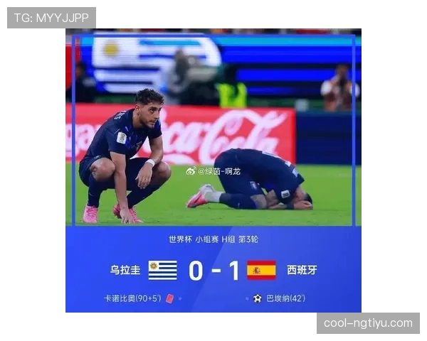乌拉圭世界杯小组赛总结：未胜一场导致出局